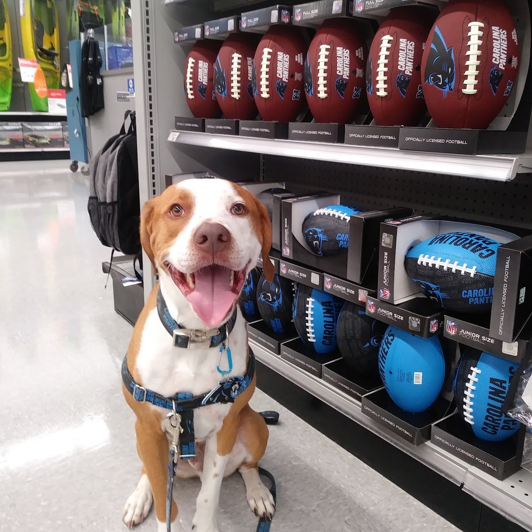 Academy Sports + Outdoors 1